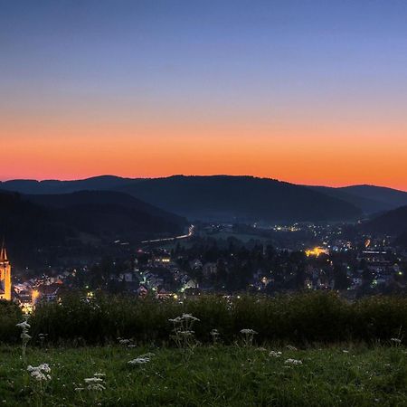 Drei Tannen - Wohnung 12 - Apartmenthaus, Titisee, Nahe Badeparadies Экстерьер фото