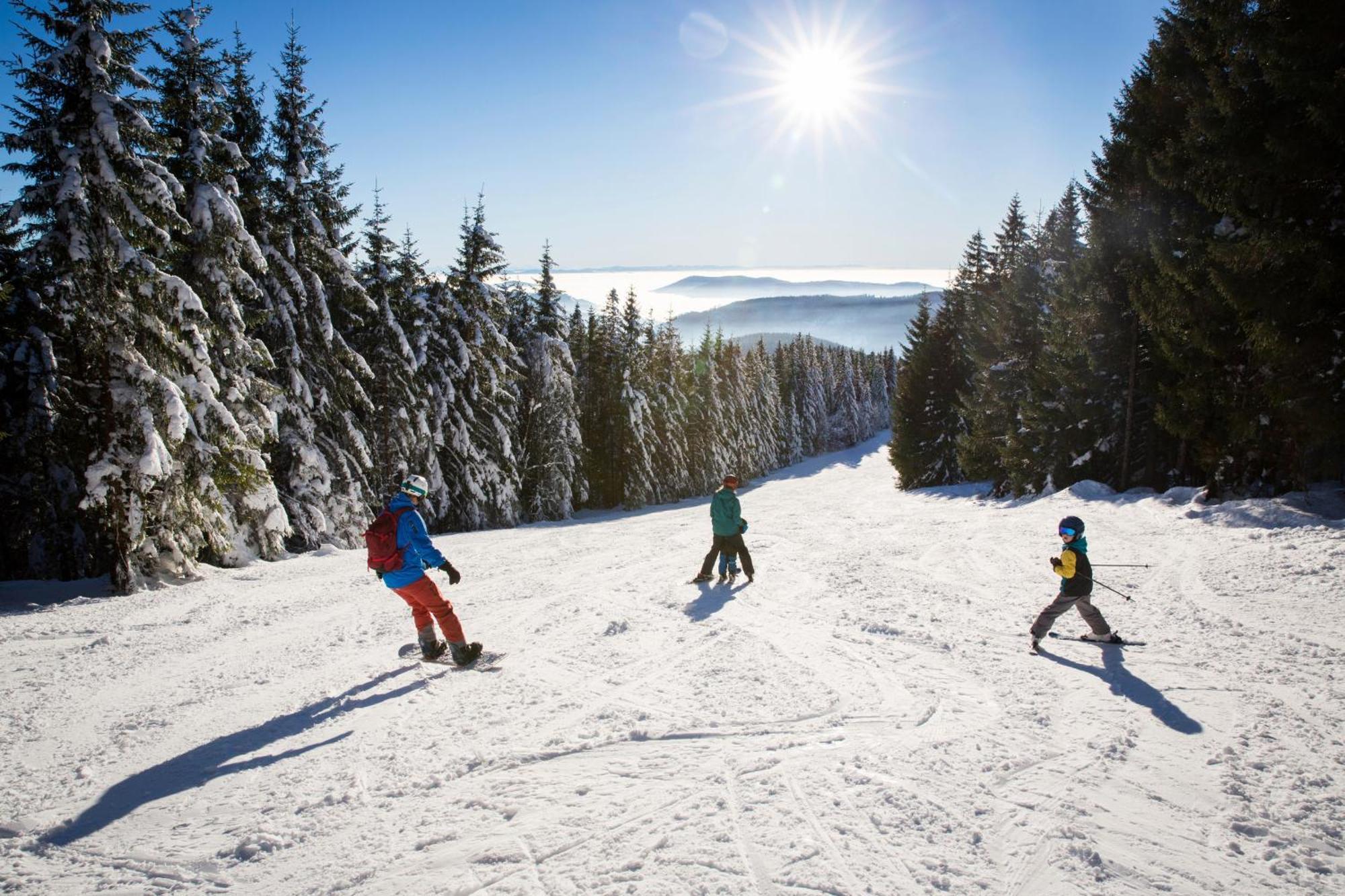 Drei Tannen - Wohnung 12 - Apartmenthaus, Titisee, Nahe Badeparadies Экстерьер фото