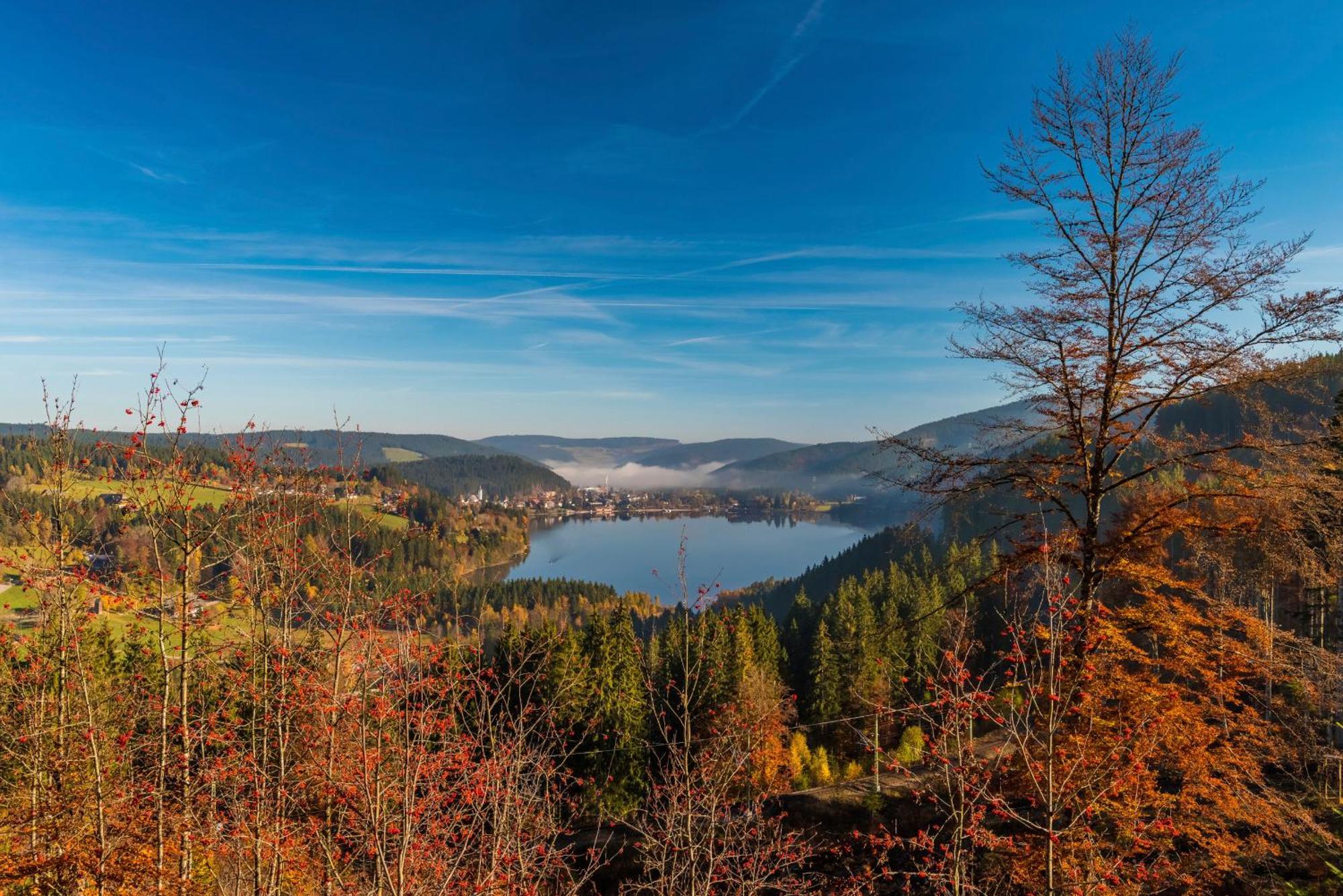 Drei Tannen - Wohnung 12 - Apartmenthaus, Titisee, Nahe Badeparadies Экстерьер фото